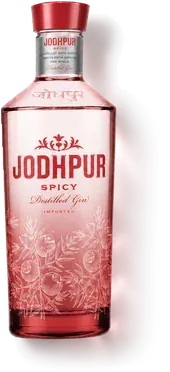 Jodhpur Spicy