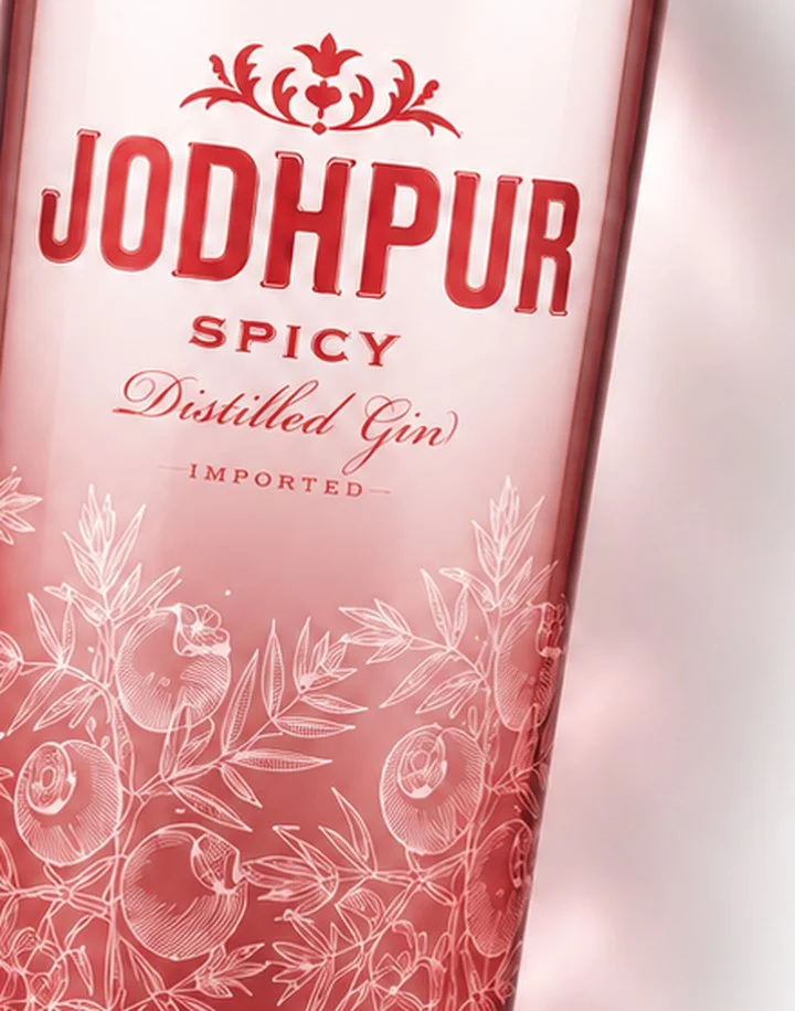 Jodhpur Spicy — image 2